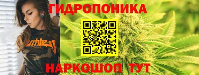 крисы Коммунар