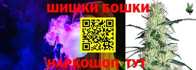 крисы Коммунар