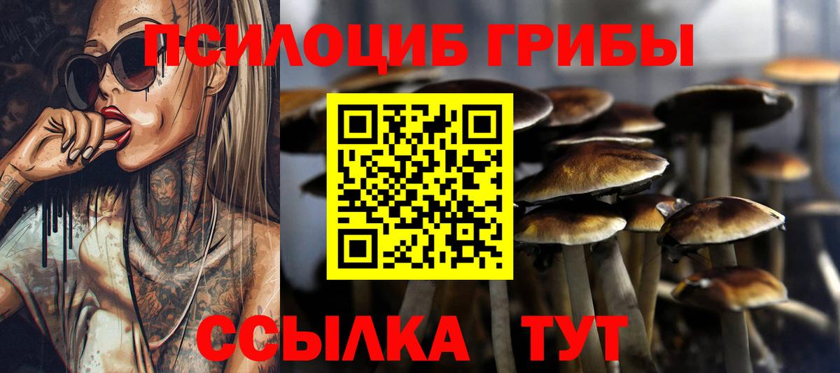 Кимры  Галлюциногенные грибы Magic Shrooms  Псилоцибиновые грибы MAGIC MUSHROOMS  Вход с VPN 